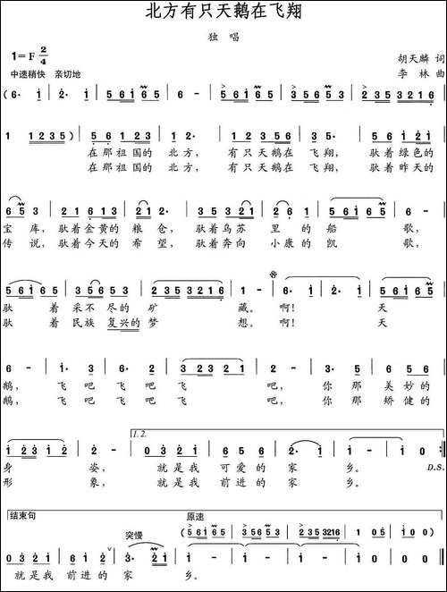 北方有只天鹅在飞翔