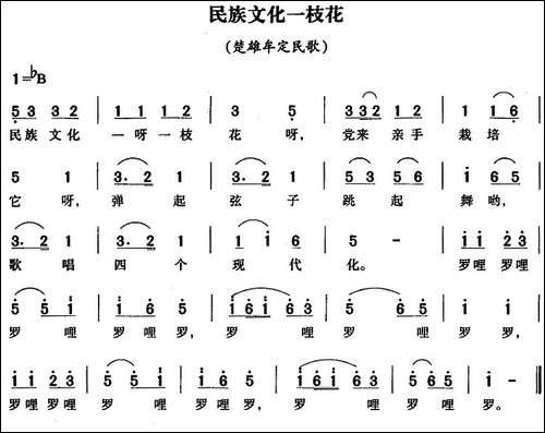 民族文化一枝花