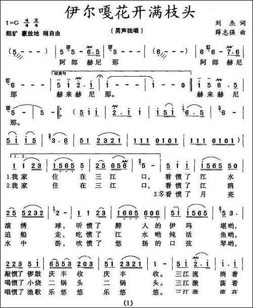 伊尔嘎花开满枝头