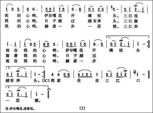 伊尔嘎花开满枝头