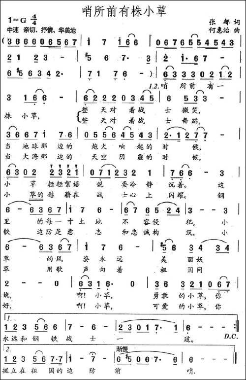 哨所前有株小草