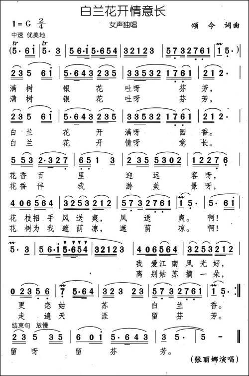 白兰花开情意长
