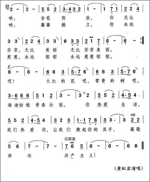 火红的花，常青的树