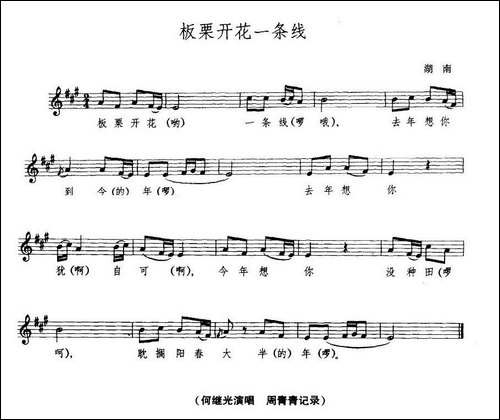 板栗开花一条线-五线谱