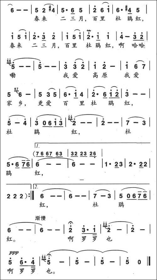 我爱家乡杜鹃红