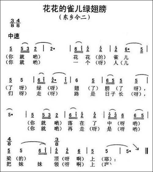 花花的雀儿绿翅膀