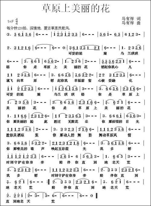 草原上美丽的花