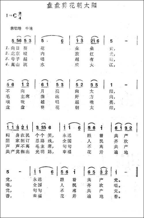 盘盘葵花朝太阳