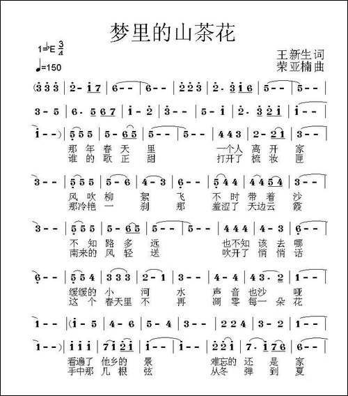 梦中的山茶花