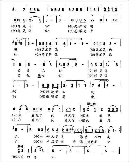 寻找赵一曼