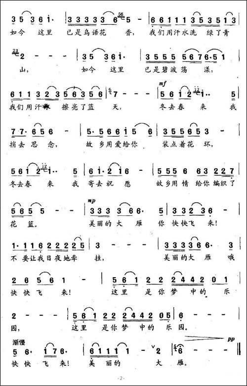 美丽的大雁