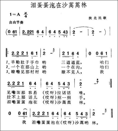 泪蛋蛋泡在沙蒿蒿林