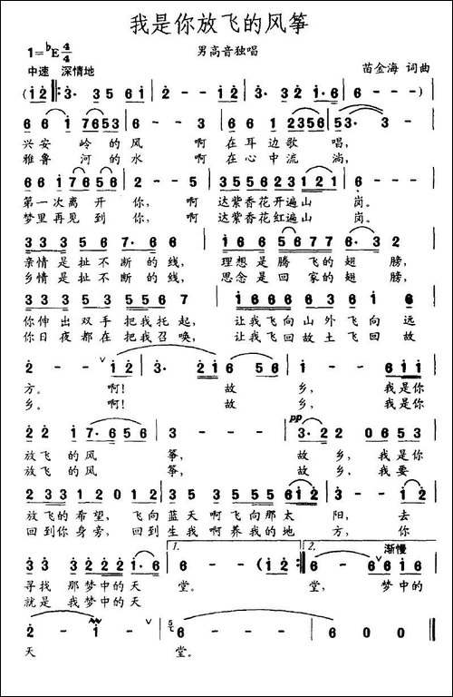 我是你放飞的风筝