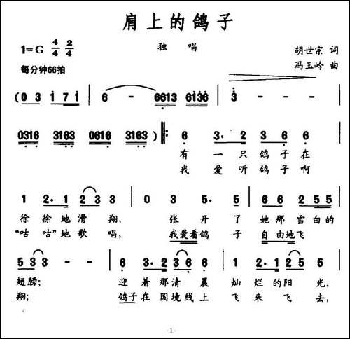 肩上的鸽子
