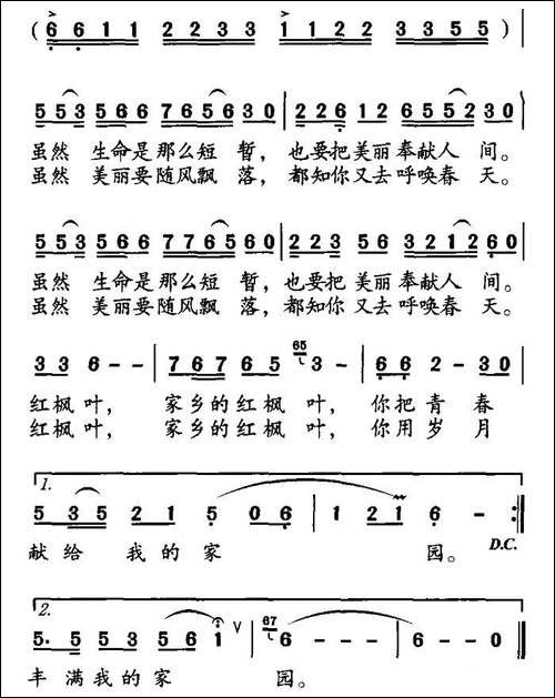 家乡的枫叶