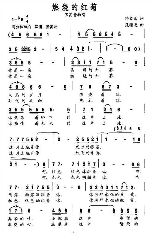 燃烧的红菊