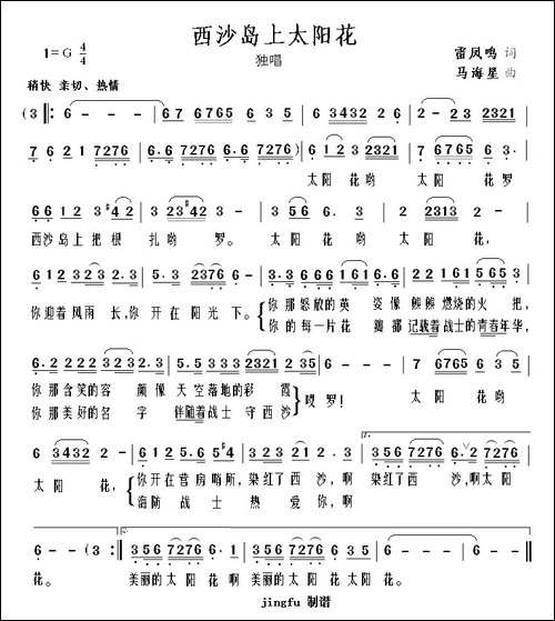 西沙岛上太阳花