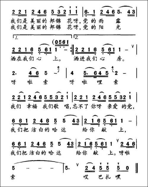 美丽的邦锦花儿开了