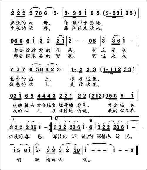 根在这片热土
