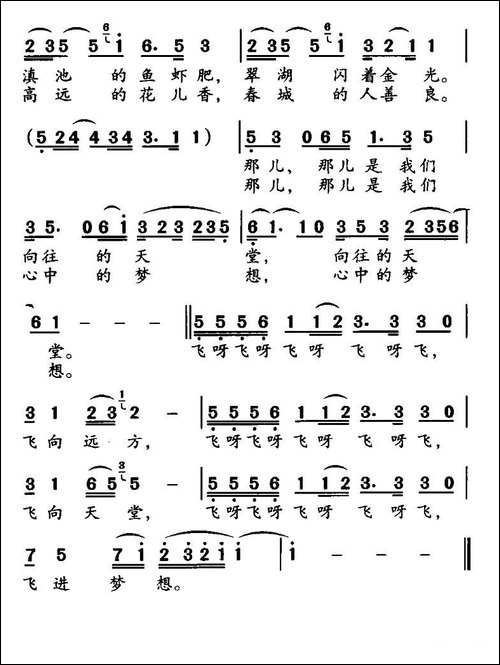 红嘴鸥之梦