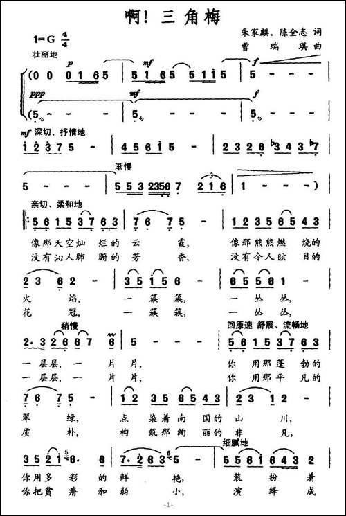 啊！三角梅