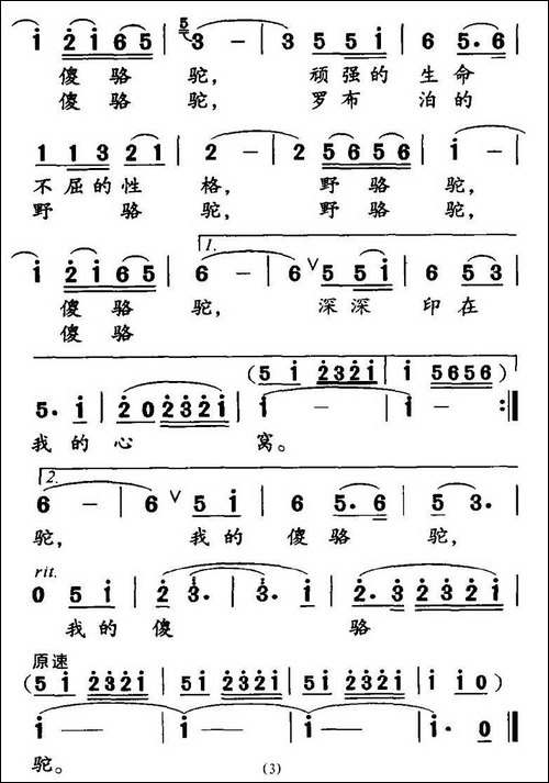 野骆驼-傻骆驼-高枫词-胡绍正曲