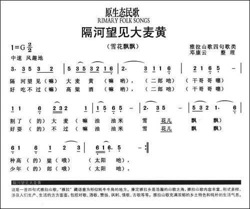 隔河望见大麦黄-又名：雪花飘飘