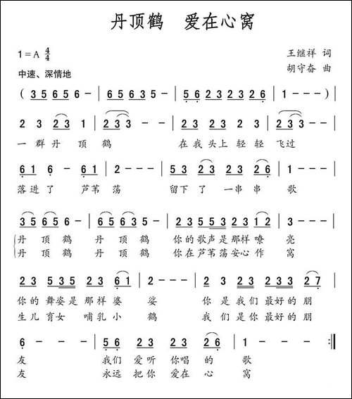 丹顶鹤-爱在心窝