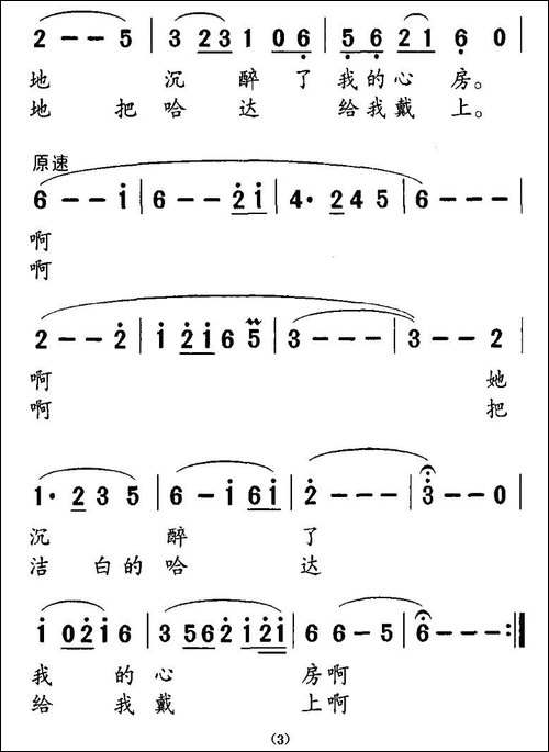 美丽的金银滩上