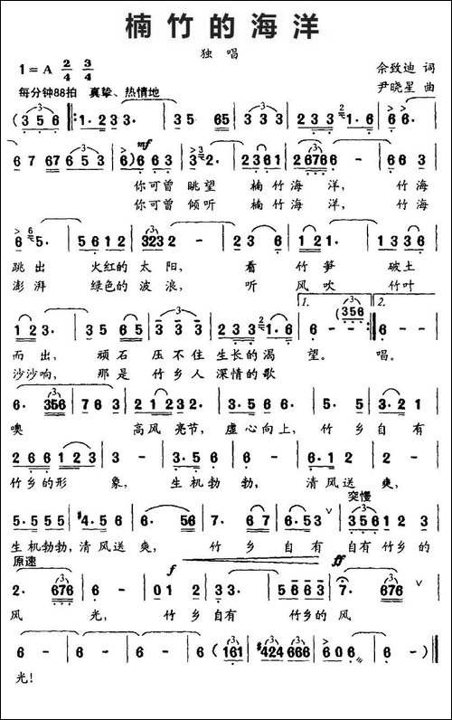 楠竹的海洋