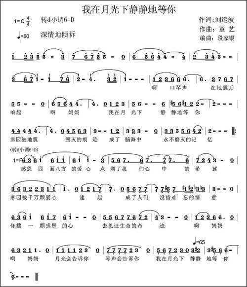 我在月光下静静地等你