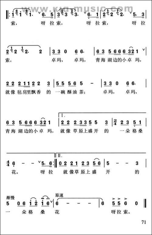 青海湖边的小卓玛