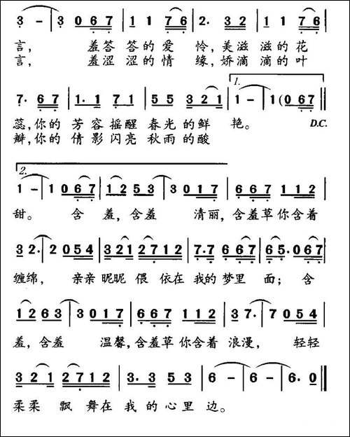 含羞草之恋