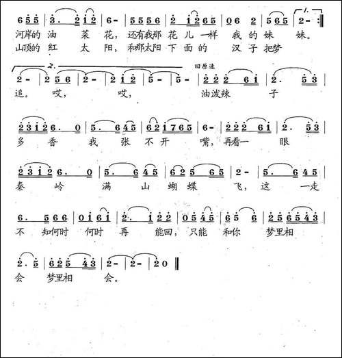 想念我的大西北-李庆文词-张遇良曲