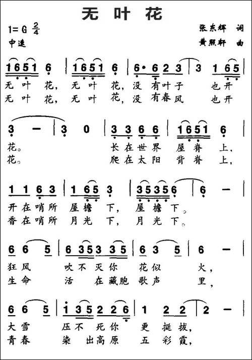 无叶花