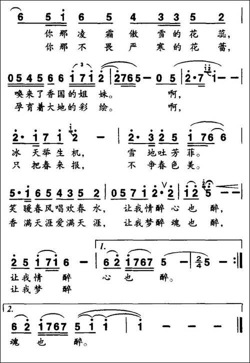 雪中红梅