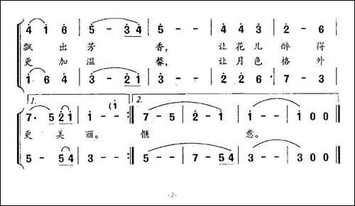 美丽的夏夜