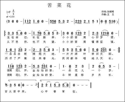 苦菜花-孙照明词-王立曲