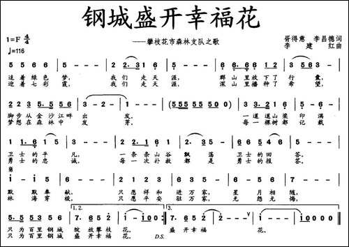 钢城盛开幸福花