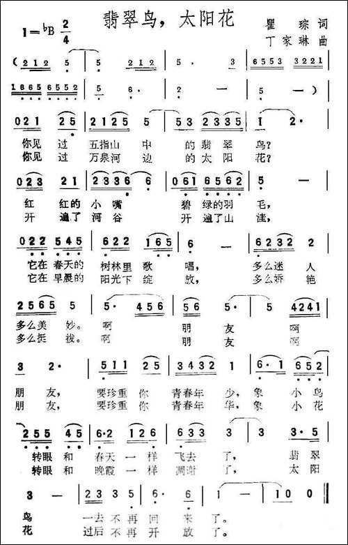 翡翠鸟，太阳花
