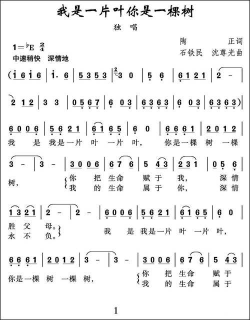 我是一片叶-你是一棵树