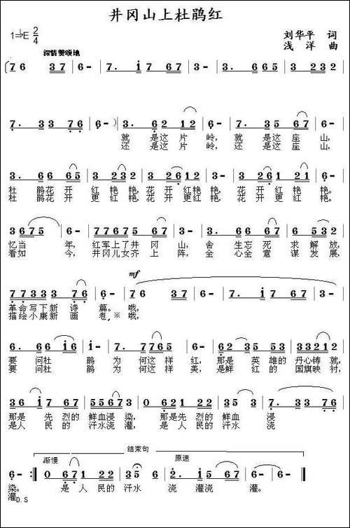 井冈山上杜鹃红