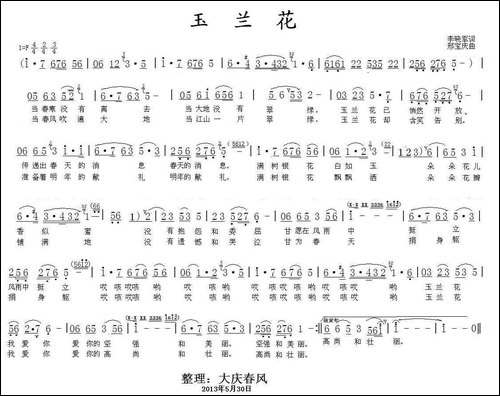玉兰花