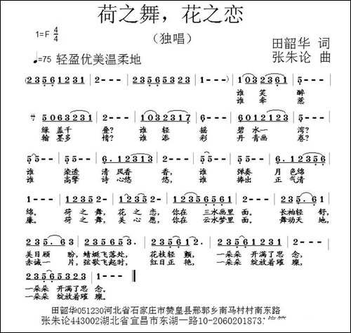 荷之舞，花之恋
