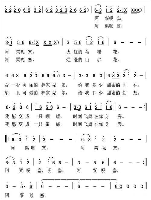 彝家姑娘-郑江涛词-杨红斌曲
