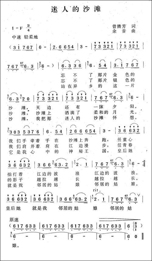 迷人的沙滩