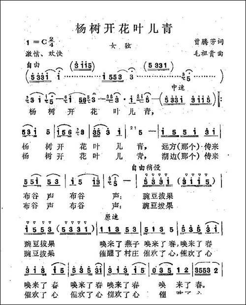 杨树开花叶儿青-曾腾芳词-毛祖贵曲