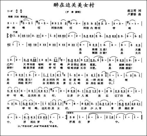 醉在边关美女村