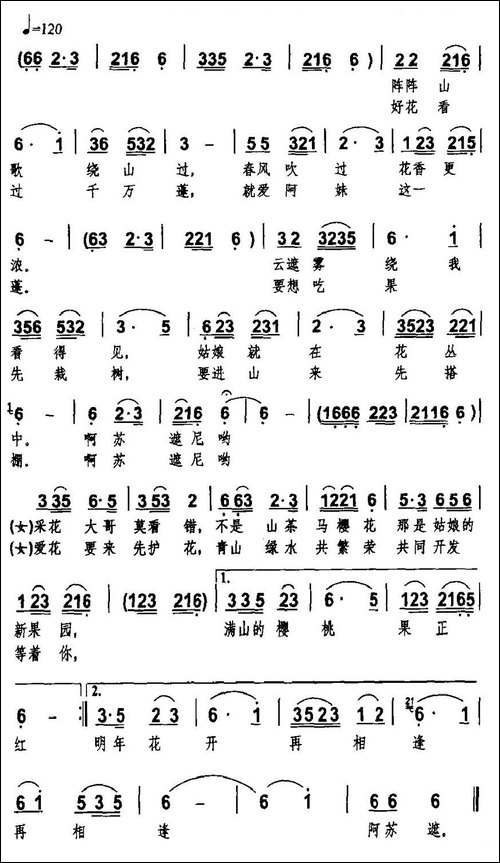 满山樱桃果正红-男女声对唱