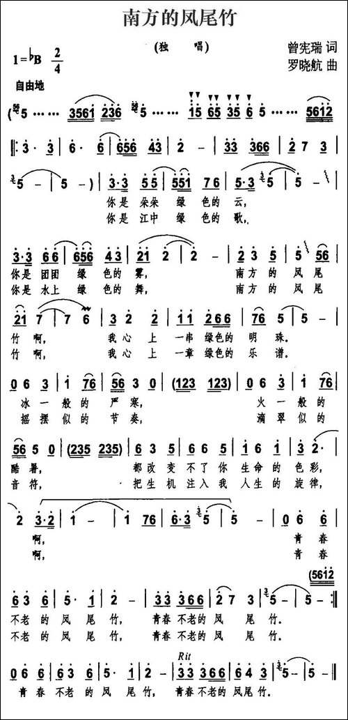 南方的凤尾竹